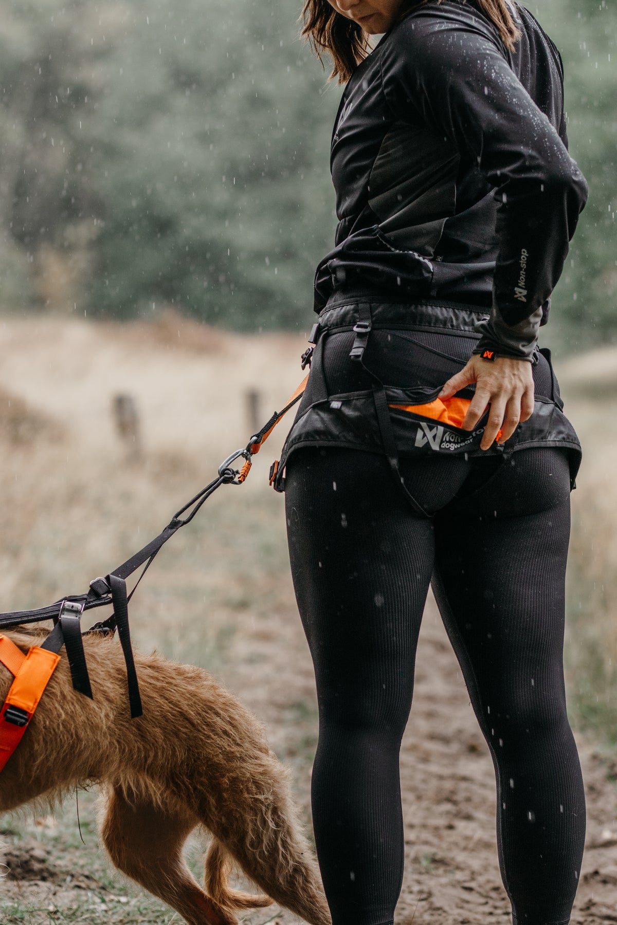 Non-stop dogwear - CaniX belt 3.0