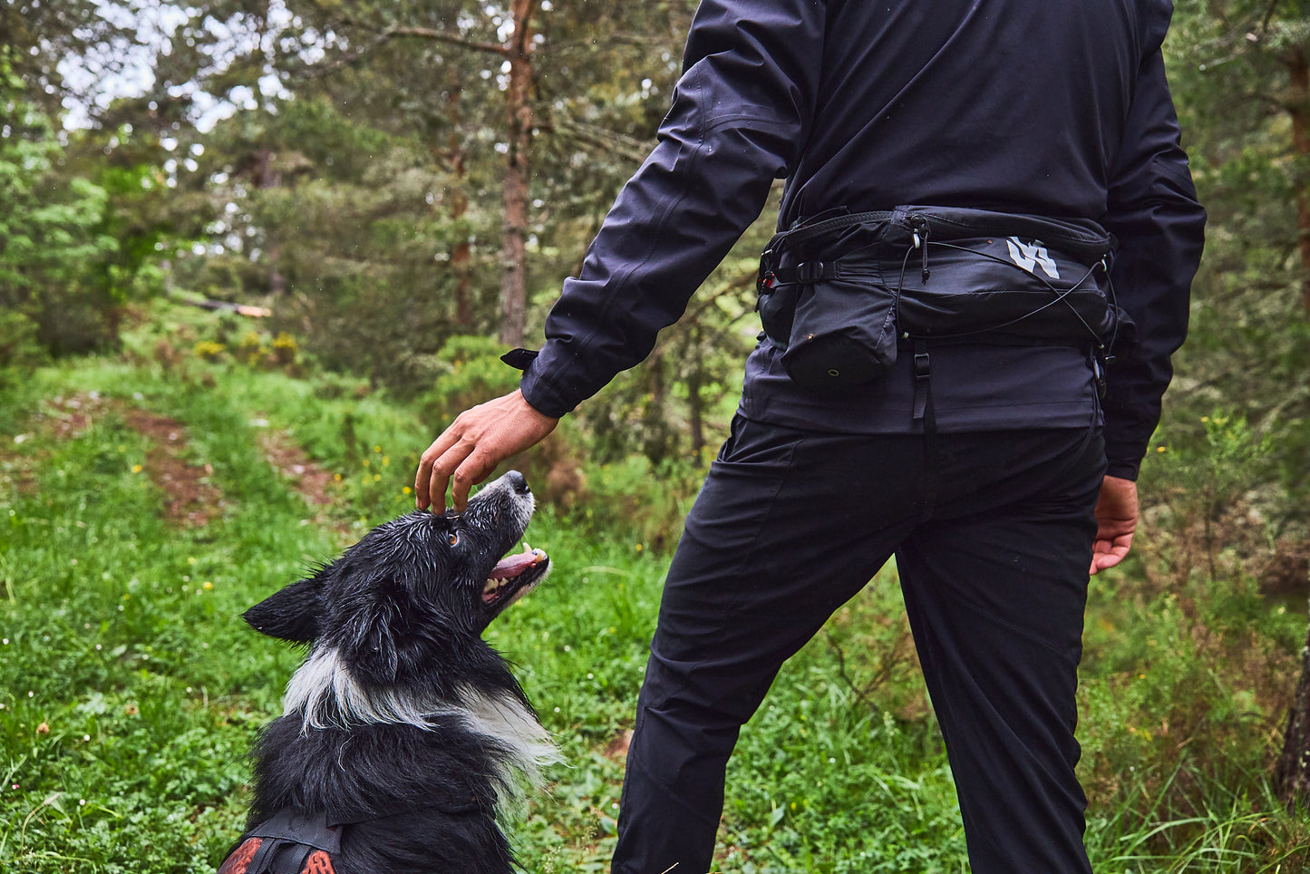 Non-stop Dogwear - Trail light belt