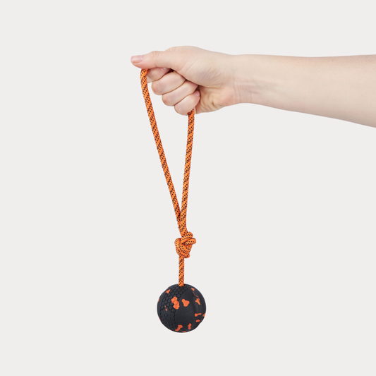 Non-stop Dogwear - Palla con corda