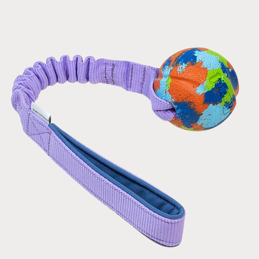 Zayma - Chuckit! ECO Fetch Bungee