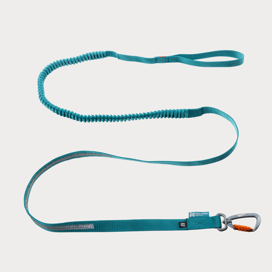 Non-stop Dogwear - Guinzaglio Touring Bungee