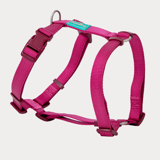 Freedog - Pettorina ad H di Nylon Base