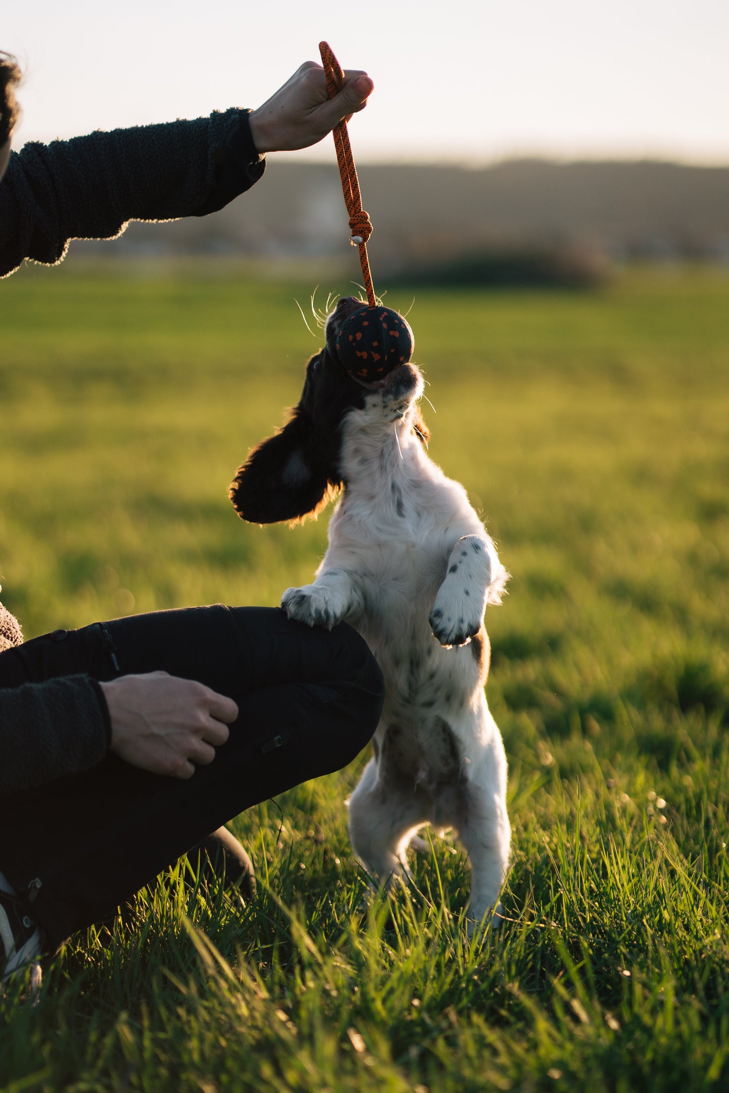 Non-stop Dogwear - Palla con corda