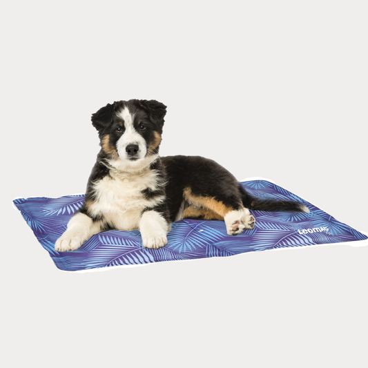 LeoPet - Tappeto refrigerante per cani LEOMAT