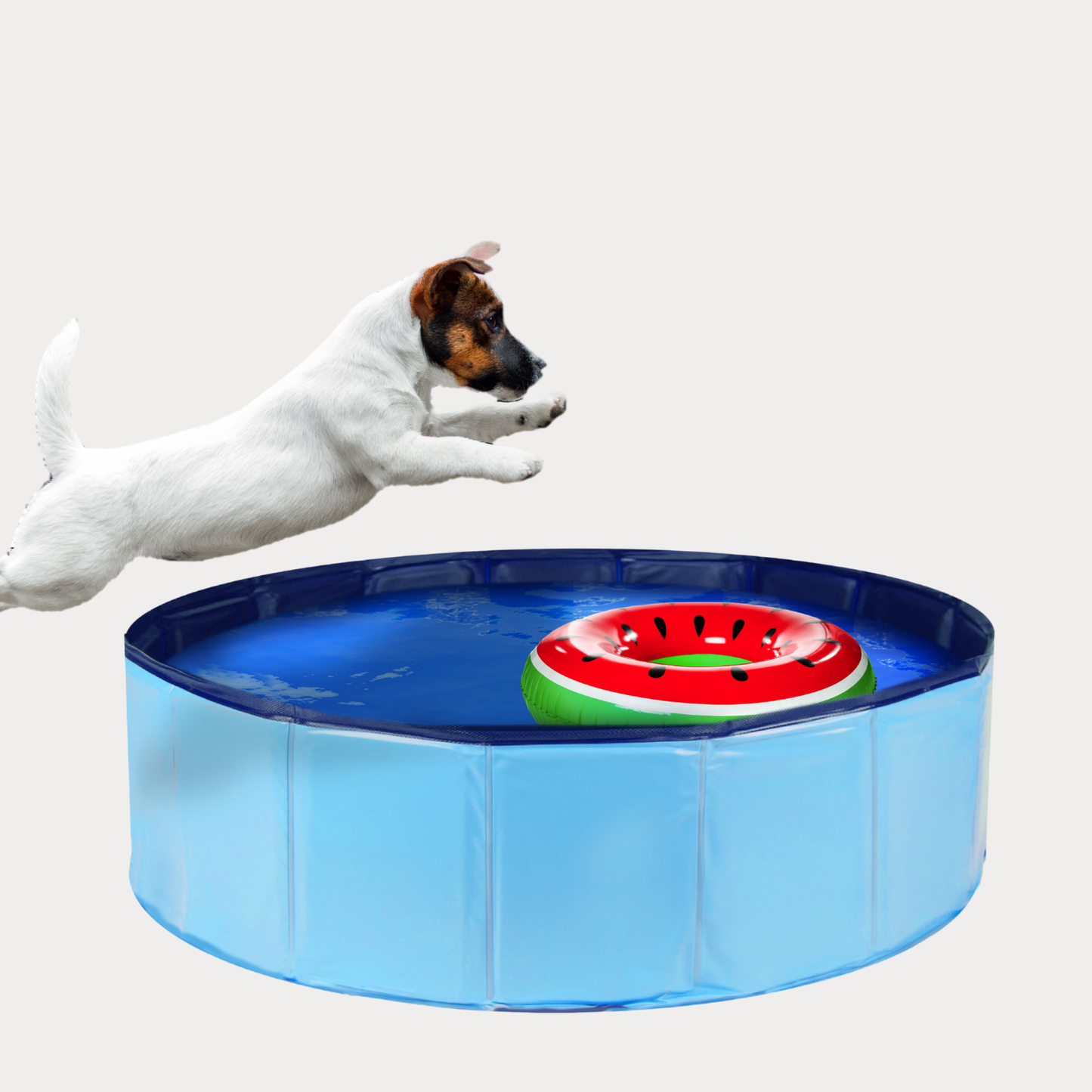 LeoPet - Piscine pliable pour chiens