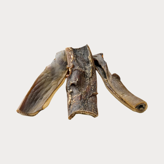 Pelle di cammello 250gr