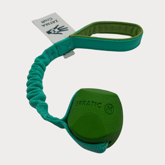 Zayma Crafts - Palla con Bungee Chuckit Erratic