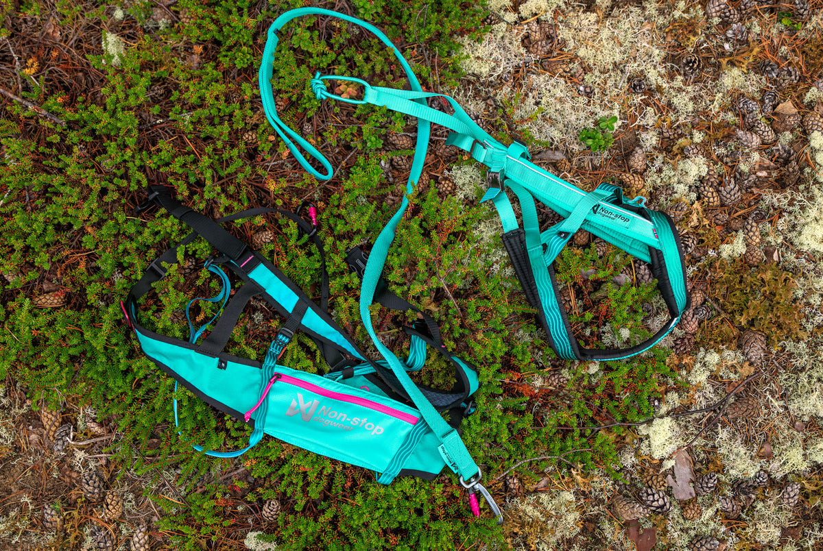 Non-stop dogwear - CaniX belt 2.0