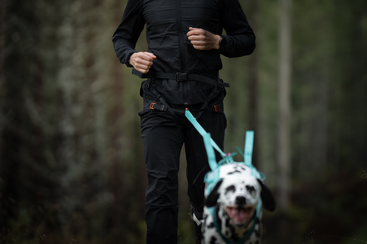 Non-stop dogwear - CaniX belt 3.0