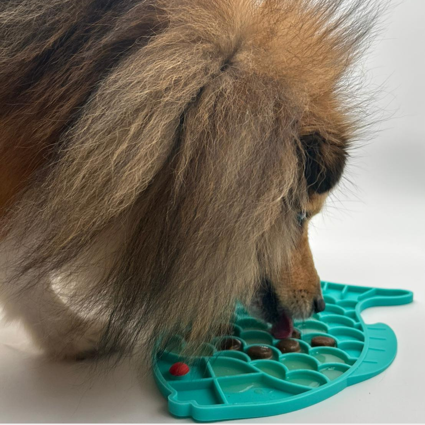 Lickmat in Silicone a Forma di Pesce per Cani – Gioco Interattivo e Antistress