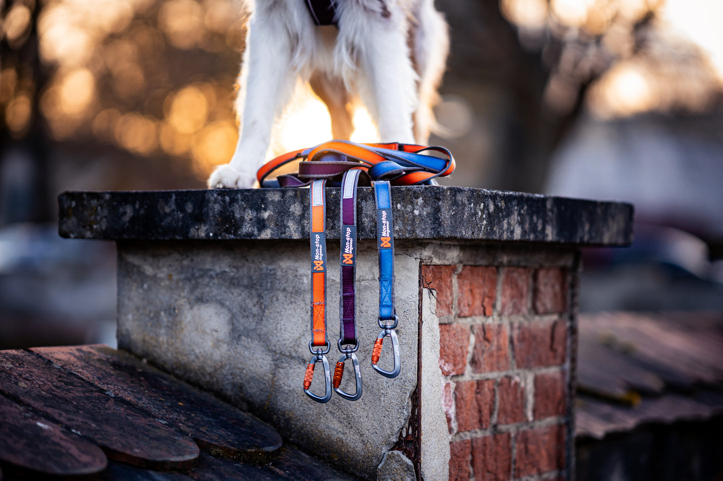 Non-stop Dogwear - Guinzaglio Move leash