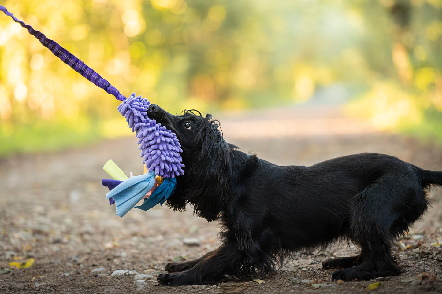 Tug & Play | Gioco per cani Tira e Molla Squeak Fun