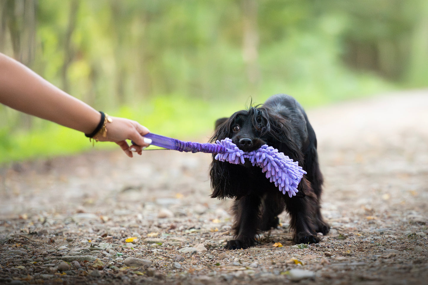 Tug & Play | Gioco per cani Tira e Molla Squeak