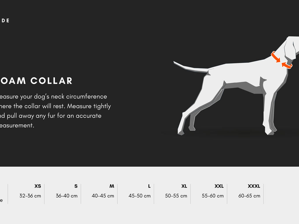 Non-stop Dogwear - Roam Collar