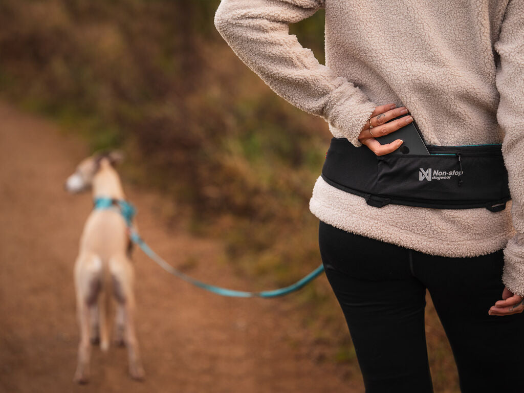 Non-stop dogwear - Rush belt