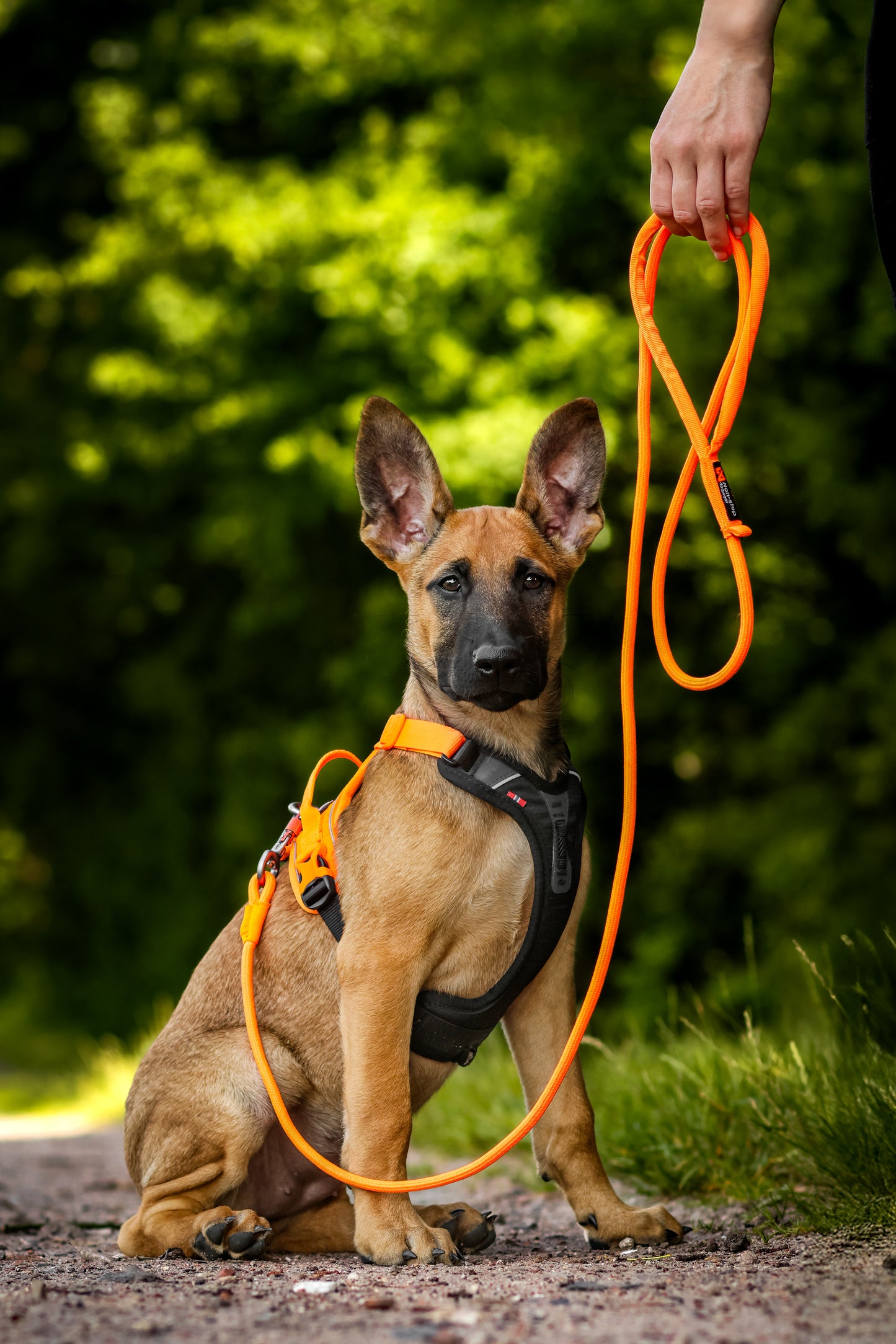 Non-stop Dogwear - Guinzaglio Trekking Rope