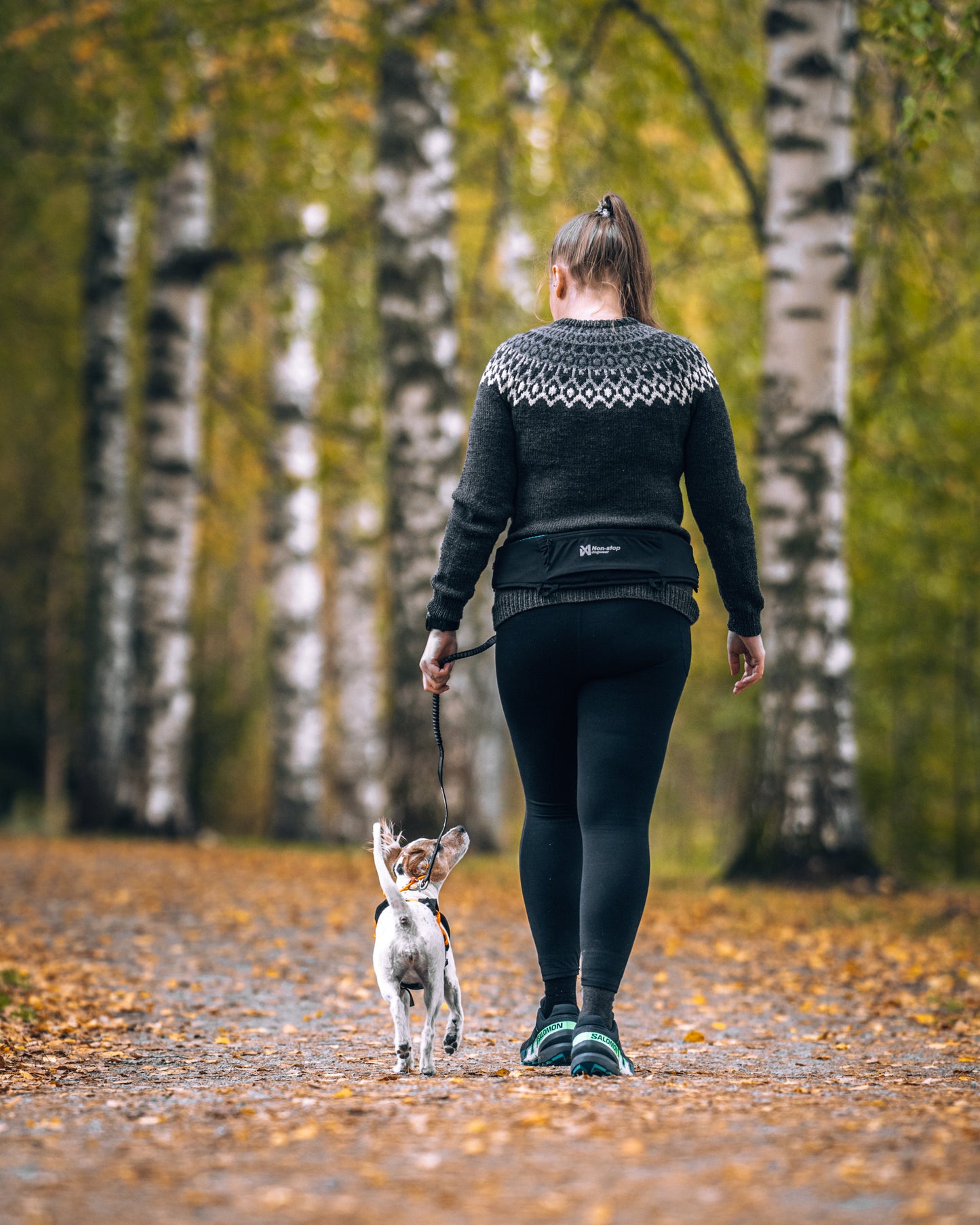 Non-stop dogwear - Rush belt