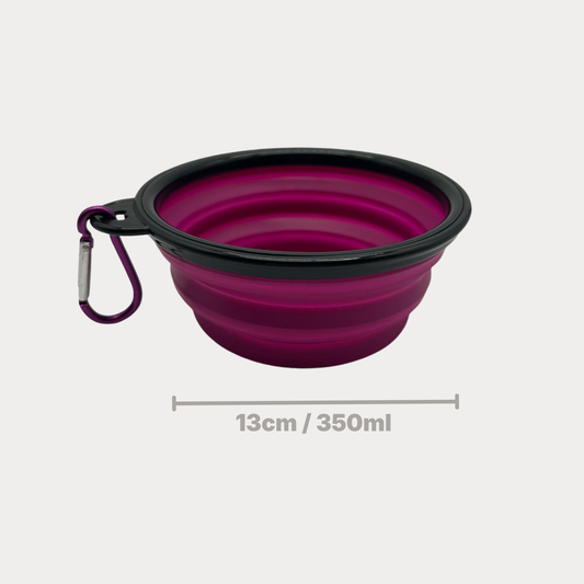 Ciotola Pieghevole in Silicone per Cani – Ciotola da Viaggio con Bordi Rinforzati