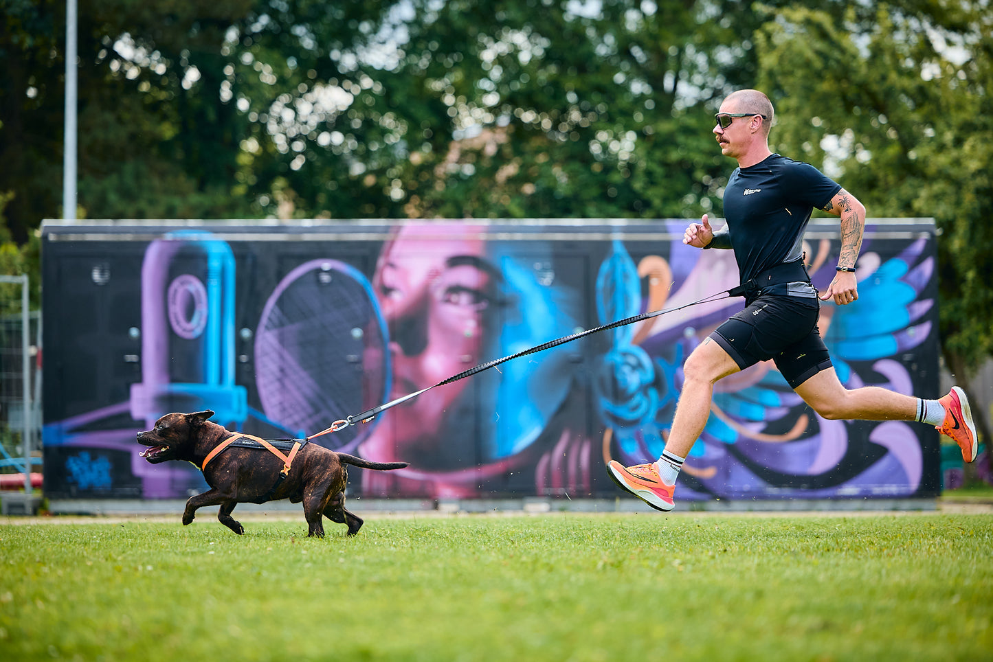 Non-stop Dogwear - Guinzaglio Touring Bungee