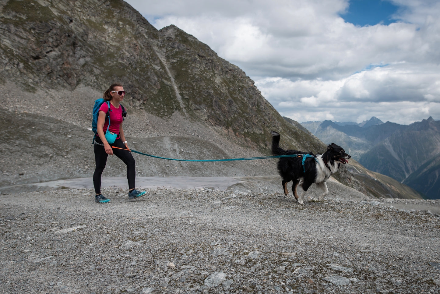 Non-stop Dogwear - Guinzaglio Touring Bungee