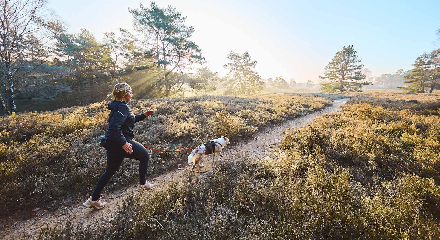 Non-stop Dogwear - Trail light belt