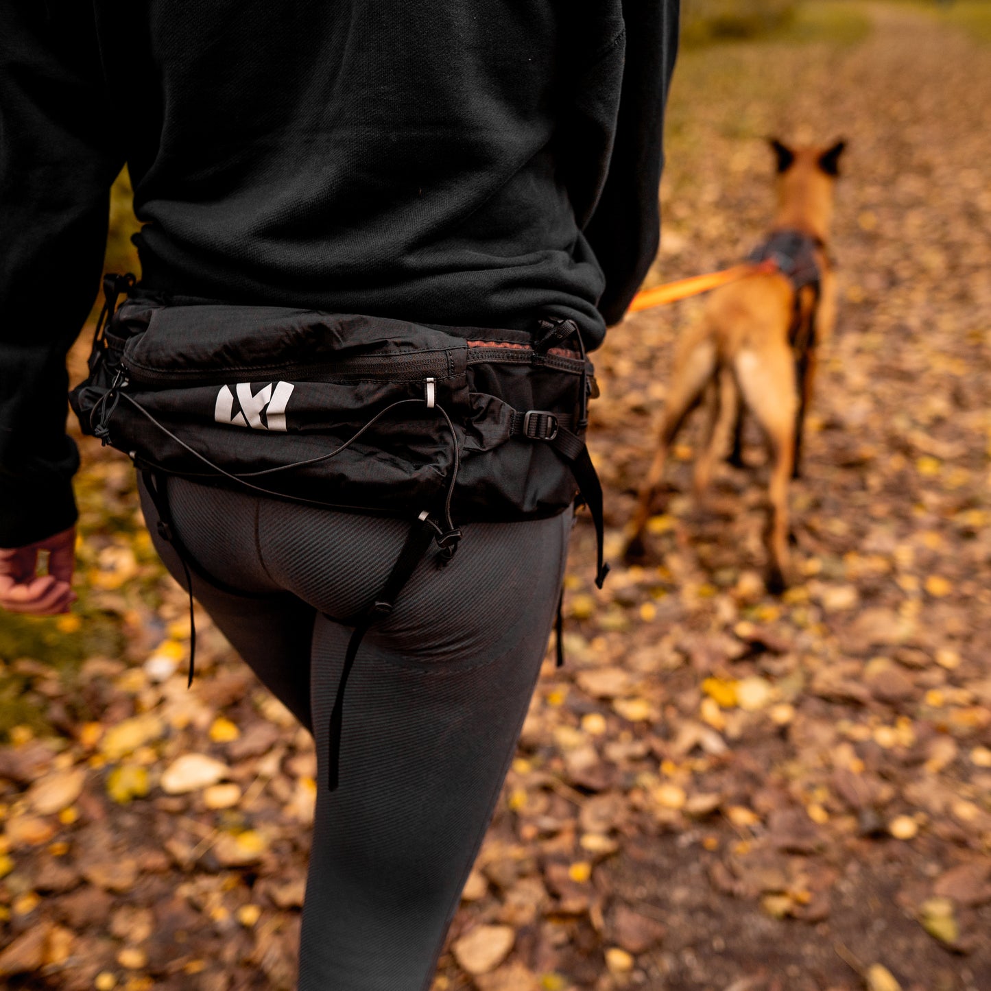 Non-stop Dogwear - Trail light belt