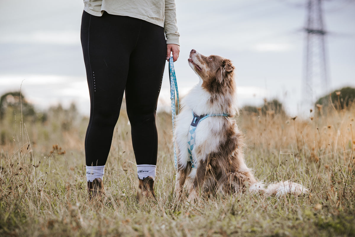 Non-stop Dogwear - Guinzaglio Trail quest leash