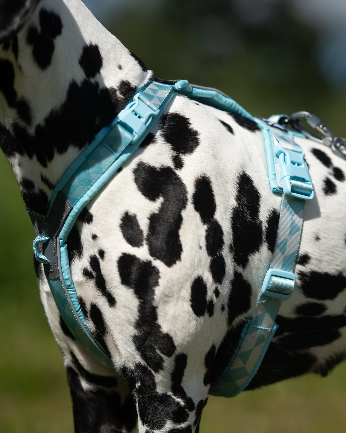Non-stop Dogwear - Pettorina Line harness CLIP'N™