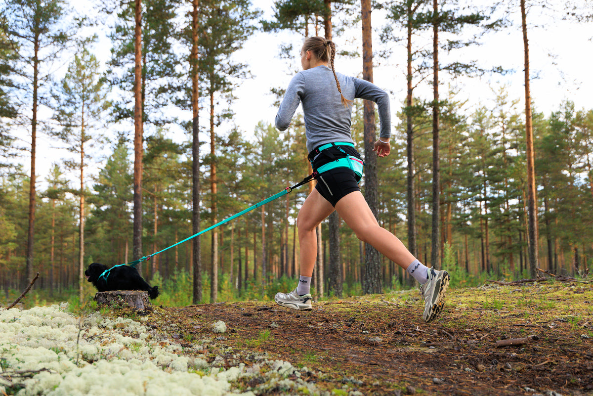 Non-stop dogwear - CaniX belt 2.0