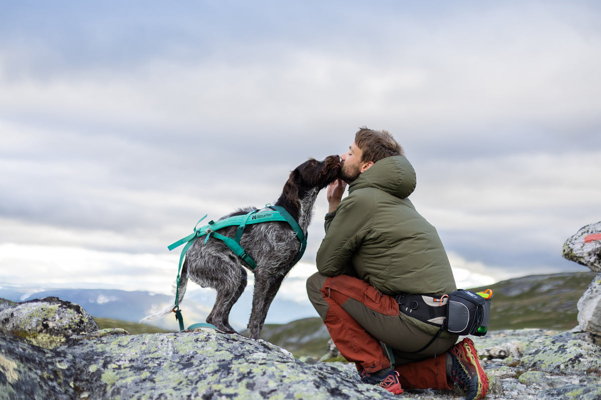 Non-stop Dogwear - Freemotion Harness 5.0