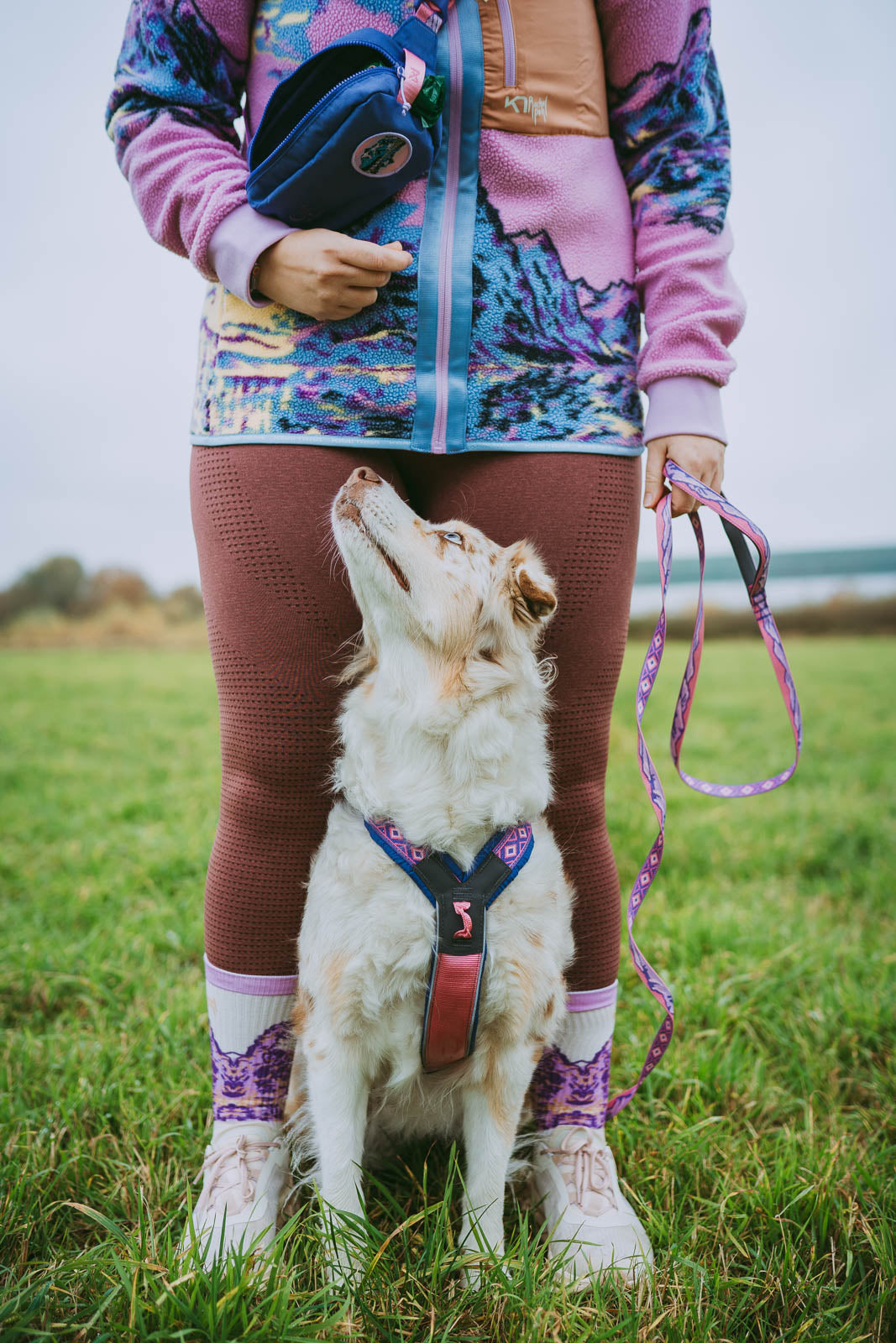 Non-stop Dogwear - Guinzaglio Trail quest leash Rachel Pohl edition