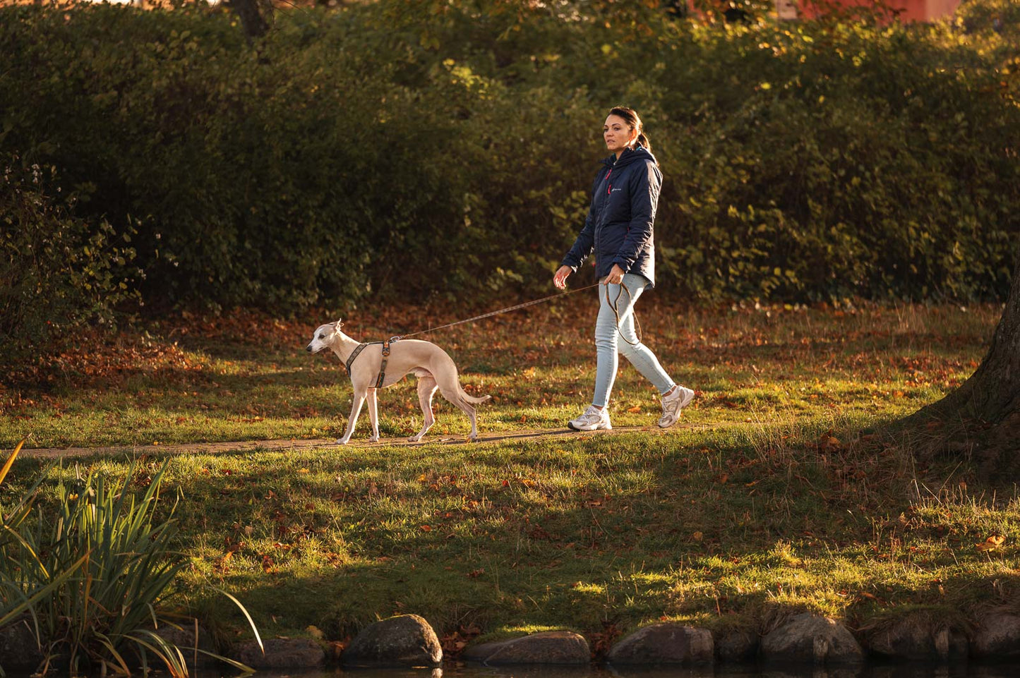 Non-stop Dogwear - Guinzaglio Trail quest leash Rachel Pohl edition