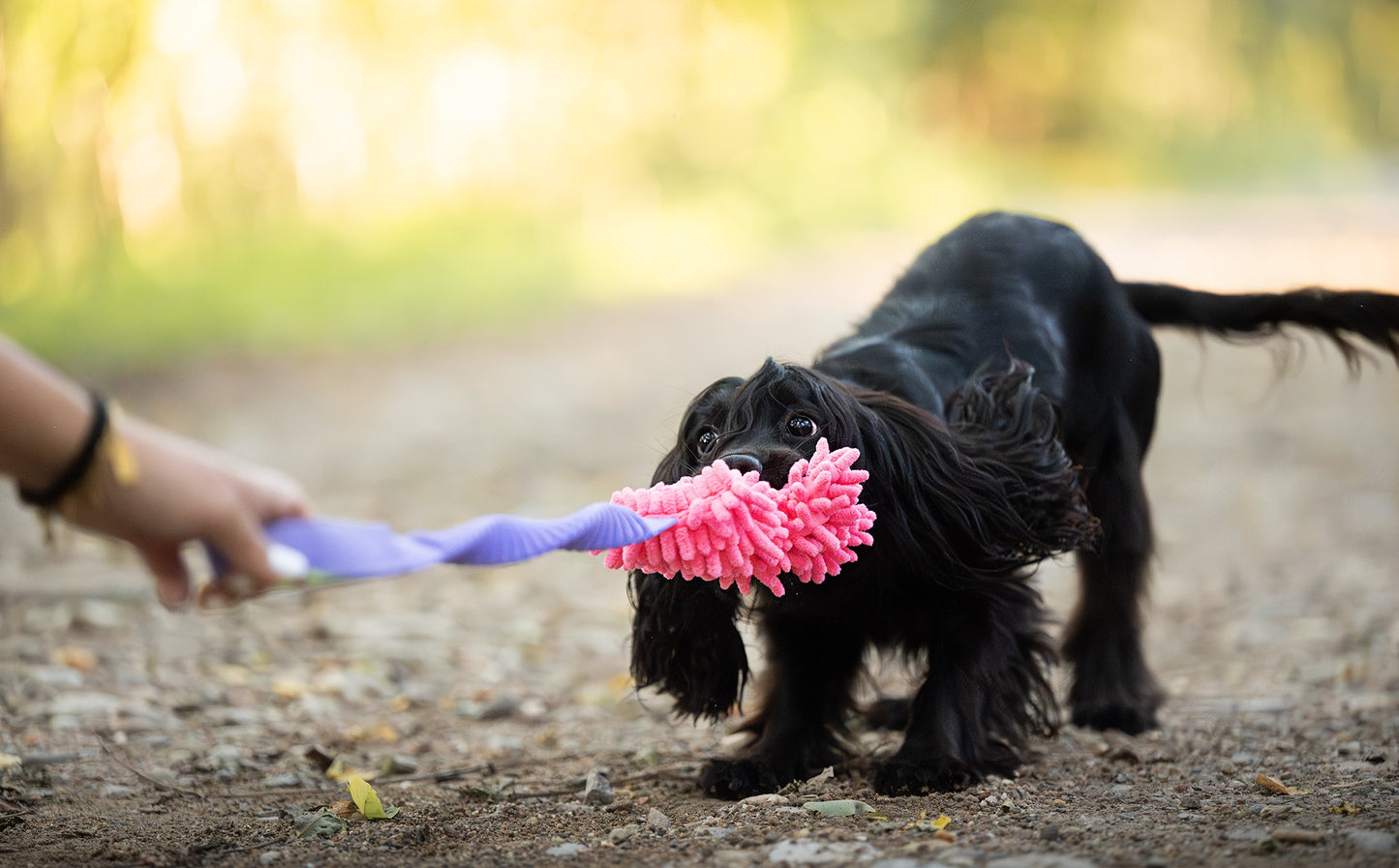 Tug & Play | Gioco per cani Tira e Molla Classic