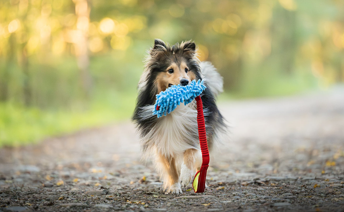 Tug & Play | Gioco per cani Tira e Molla Classic